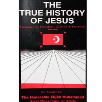 The True History of Jesus